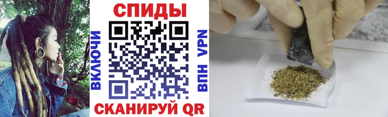 где можно купить   kraken   Бутират BDO  Кувандык 