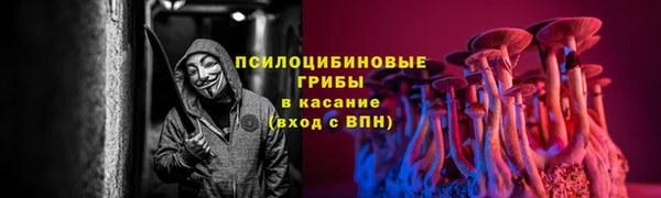 ГАЛЛЮЦИНОГЕННЫЕ ГРИБЫ Балахна