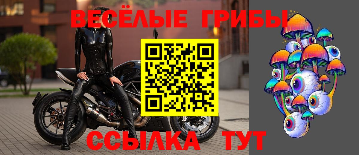 Галлюциногенные грибы Cubensis  Галлюциногенные грибы мухоморы  Вход с VPN  Кувандык 