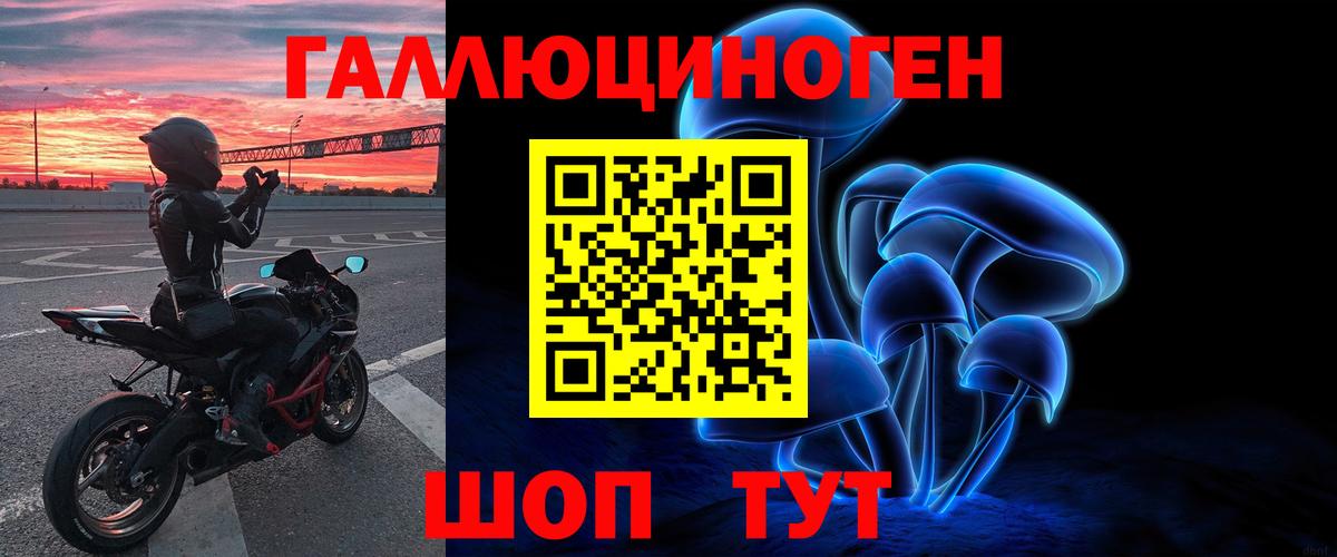 Псилоцибиновые грибы Cubensis Кувандык
