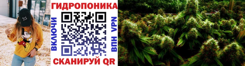 дарнет шоп  Кувандык  Шишки марихуана AK-47 